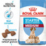 ROYAL CANIN Medium starter mother & babydog 4 kg granule pre brezivé alebo dojčiace suky a šteniatka.
