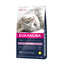 EUKANUBA Cat Kitten All Breeds Healthy Start Granule pre mačky Kuracie mäso & Pečeň 2 kg