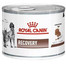 ROYAL CANIN Recovery 12 x 195 g 	