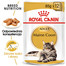ROYAL CANIN Maine Coon 48x85 g