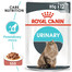 ROYAL CANIN Urinary Care 24x85 g
