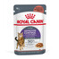 ROYAL CANIN Appetite Control Gravy 24x85 g vlhké krmivo pre dospelé mačky s nadmerným apetítom