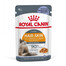ROYAL CANIN Intense Beauty v želé 48 x 85 g