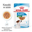 ROYAL CANIN Mini puppy 24x85 g