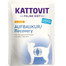 KATTOVIT Feline Diet Recovery Chicken 85 g