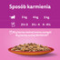 WHISKAS Adult saszetka 85 g mokra karma dla dorosłych kotów w galaretce z wołowiną i drobiem