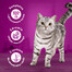 WHISKAS Adult 300g krmivo pre dospelé mačky s lahodným tuniakom