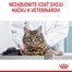 ROYAL CANIN Urinary Care kapsičky v šťave pre dospelé mačky na podporu zdravia močových ciest 12 x 85g