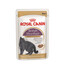 ROYAL CANIN British Shorthair 48x85 g