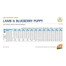 N&D Dog LG puppy medium & maxi lamb & blueberry 12 kg