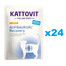 KATTOVIT Feline Diet Recovery Chicken  24 x 85 g