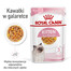 ROYAL CANIN Kitten Instinctive Jelly 48 x 85g kapsička pre mačiatka v želé