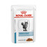 ROYAL CANIN Cat Skin & Coat  48 x 85 g