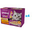 WHISKAS Adult Krémové variácie v omáčke 48x85g s kuracím mäsom a zeleninou, jahňacím a morčacím mäsom