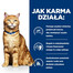 HILL'S Prescription Diet Feline C/D Multicare Urinary care z łososiem 12x85g w saszetkach