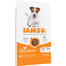 IAMS For Vitality Senior Granule pre starších psov malého a stredného plemena s kuracím mäsom 5 kg