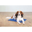 TRIXIE Chladiaca podložka pre psov 100 x 60 cm, modrá