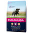 EUKANUBA Developing Junior Large Breed Granule pre psov 3 kg