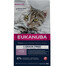 EUKANUBA Grain Free Kitten Losos 2 kg pre rastúce mačiatka