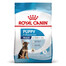 ROYAL CANIN Maxi Puppy 4kg granule pre šteňatá veľkých plemien