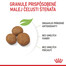 ROYAL CANIN Maxi Puppy 1 kg granule pre šteňatá veľkých plemien
