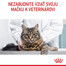 ROYAL CANIN Digestive care 4 kg granule pre mačky na podporu zdravého trávenia