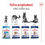 ROYAL CANIN Maxi Adult 10kg granule pre dospelých psov veľkých plemien
