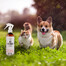 PETS Anti Insect Spray 250 ml