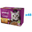 WHISKAS Adult kapsičky v želé pre mačky s kuracím, morčacím, hydinovým a kačacím mäsom 48x85g