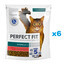 PERFECT FIT Sterile 1+ 6x750 g kompletné suché krmivo pre dospelé mačky s vysokým obsahom hovädzieho mäsa