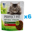 PERFECT FIT Natural Vitality 1+ kompletné suché krmivo pre dospelé mačky s hovädzím a kuracím mäsom 6x650 g