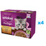 WHISKAS Junior vrecúško 48x85g Hydinové pochúťky - krmivo pre mačiatka v želé s: kura, morka, hydina, kačica