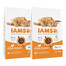 IAMS for Vitality dla dorosłych kotów ze świeżym kurczakiem 20 kg (2 x 10 kg)