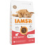 IAMS Cat Adult All Breeds Salmon 3 kg