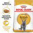 ROYAL CANIN britské krátkosrsté krmivo pre dospelé Britské krátkosrsté mačky 3 x 400 g