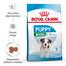 ROYAL CANIN Mini Puppy / Junior krmivo pre šteniatka od 2 do 10 mesiacov malé plemená 2 x 800 g