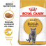 ROYAL CANIN British shorthair 34 4x2 kg Krmivo pre dospelé mačky, staršie ako 12 mesiacov, plemena Britská krátkosrstá