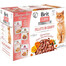 BRIT Care Fillets in Gravy Cat 24 x 85 g filety z lososa s morčacím, lososovým, kačacím a kuracím mäsom v omáčke pre mačky