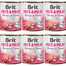 BRIT Pate&Meat Puppy 6x800 g paštéta pre šteňatá