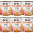 BRIT Pate&Meat turkey 6x800 g  paštéta s morčacím mäsom