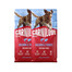 CARNILOVE Active Dog Salmon and Turkey Adult 2x12 kg losos a morčacie, pre dospelých psov