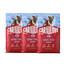CARNILOVE Active Dog Salmon & Turkey Puppies 3x4 kg losos a morčacie, pre dorastajúce šteniatka