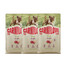 CARNILOVE True Fresh Dog Duck Puppies 3x4 kg krmivo s čerstvou kačicou pre šteniatka