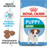ROYAL CANIN Mini Puppy 2kg granule pre malé šteňatá