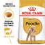 ROYAL CANIN Poodle Adult 1.5 kg granule pre dospelého pudla