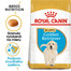 ROYAL CANIN Golden Retriever Puppy 12 kg granule pre šteňa zlatého retrievera
