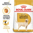 ROYAL CANIN Labrador Adult 12 kg granule pre dospelých psov plemena labradorský retriever nad 15 mesiacov