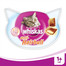 WHISKAS Anti-hairball 50g