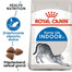 ROYAL CANIN Indoor 4 kg granule pre dospelé mačky chované v byte