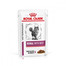 ROYAL CANIN Veterinary Diet Cat Renal Beef Pouch 12 x 85 g